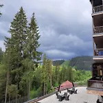 Girski Hotel&spa * Bukovel